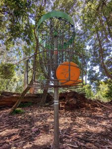 PXL_20240526_193158496