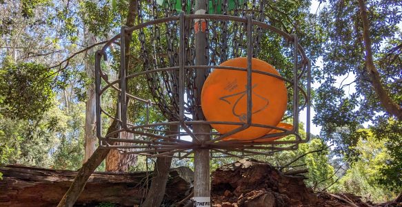 Disc Golf