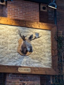 PXL_20241112_203940189.MP (Large)