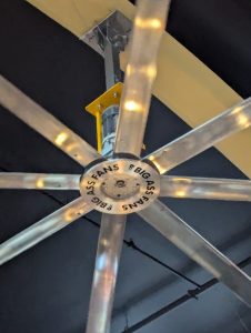 PXL_20241112_203955052 (Large)