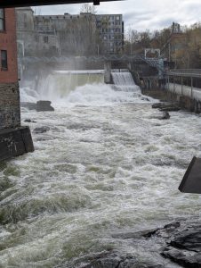 PXL_20250503_203437876.MP (Large)