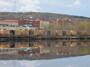 PXL_20250504_135228208.MP (Large)