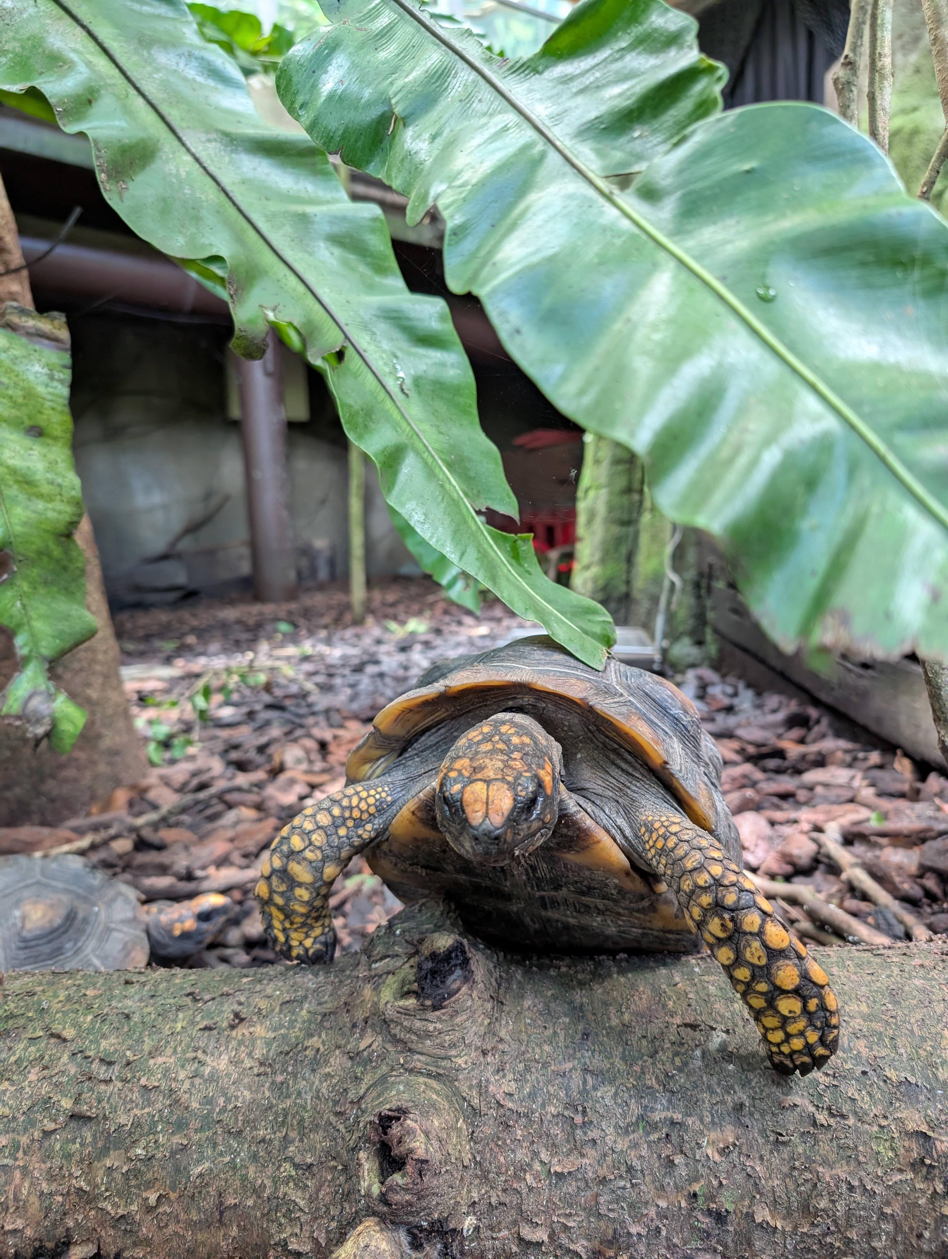 Taipei Zoo
