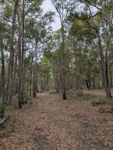 PXL_20250615_073350135.MP (Large)