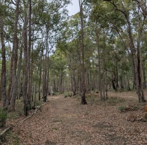 Mundaring Disc Golf Club