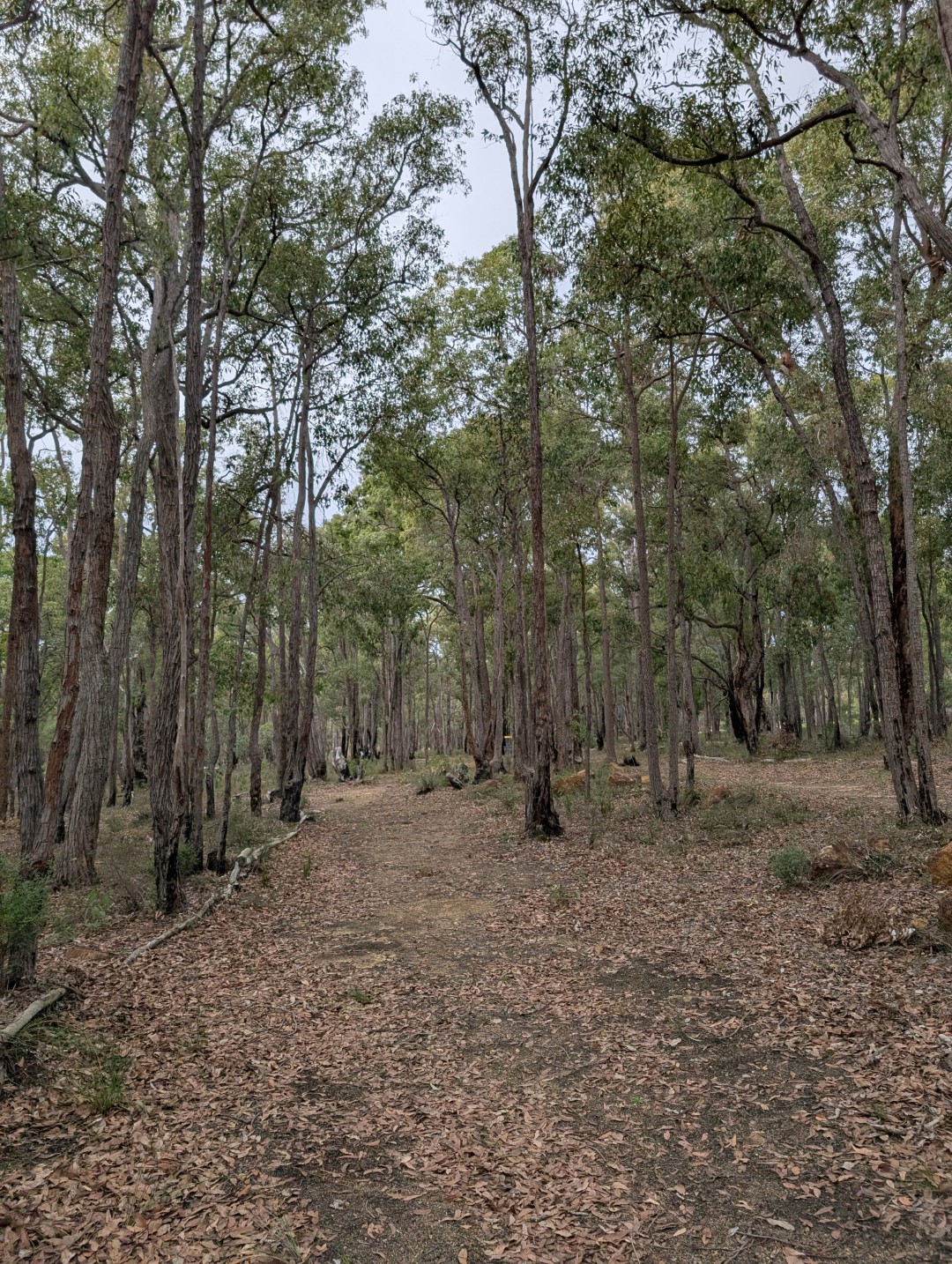 Mundaring Disc Golf Club