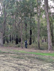 PXL_20250615_074449999.MP (Large)