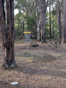 PXL_20250615_081522123.MP (Large)