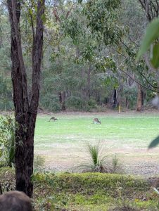 PXL_20250615_083136494.MP (Large)