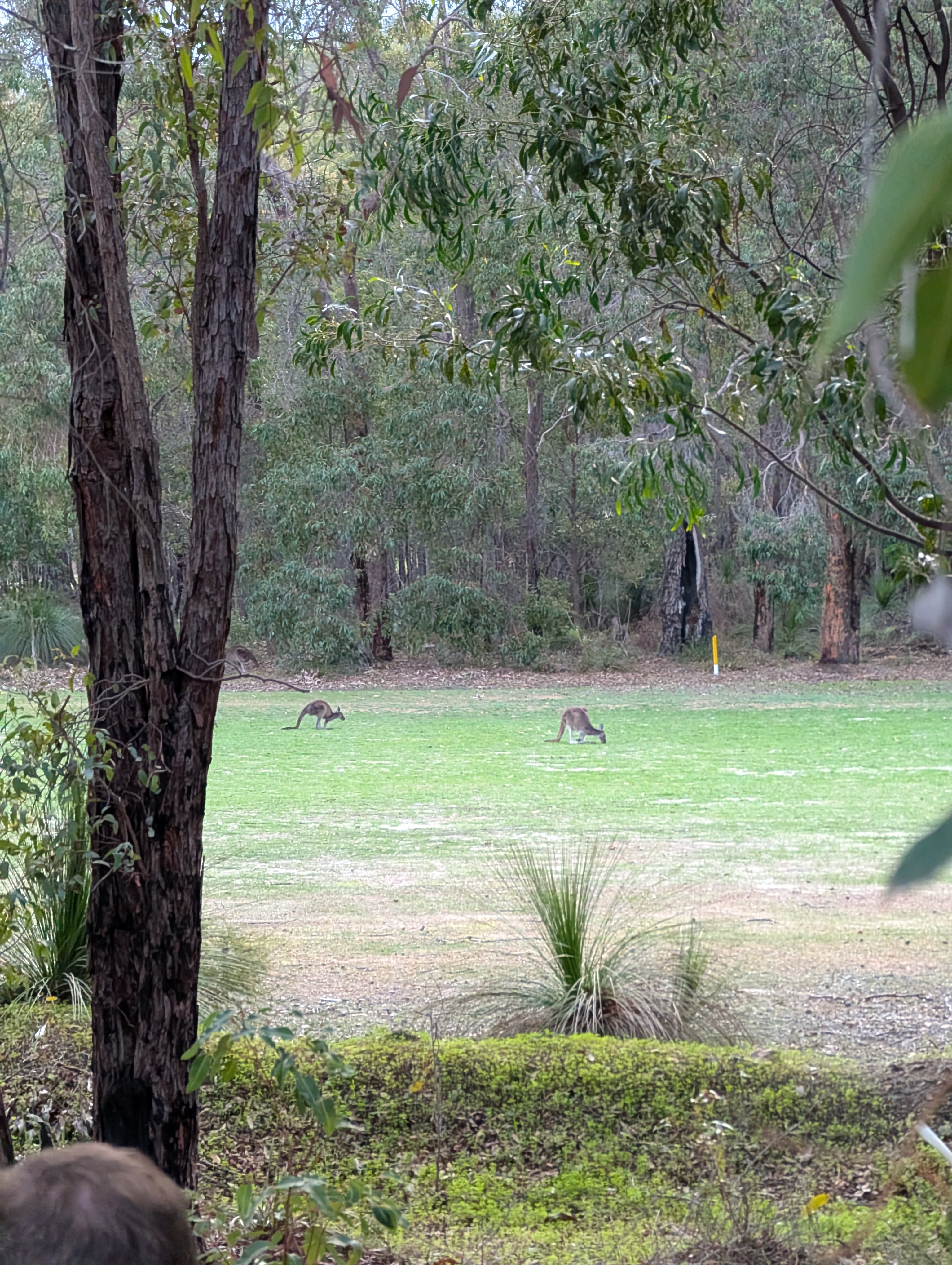 PXL_20250615_083136494.MP